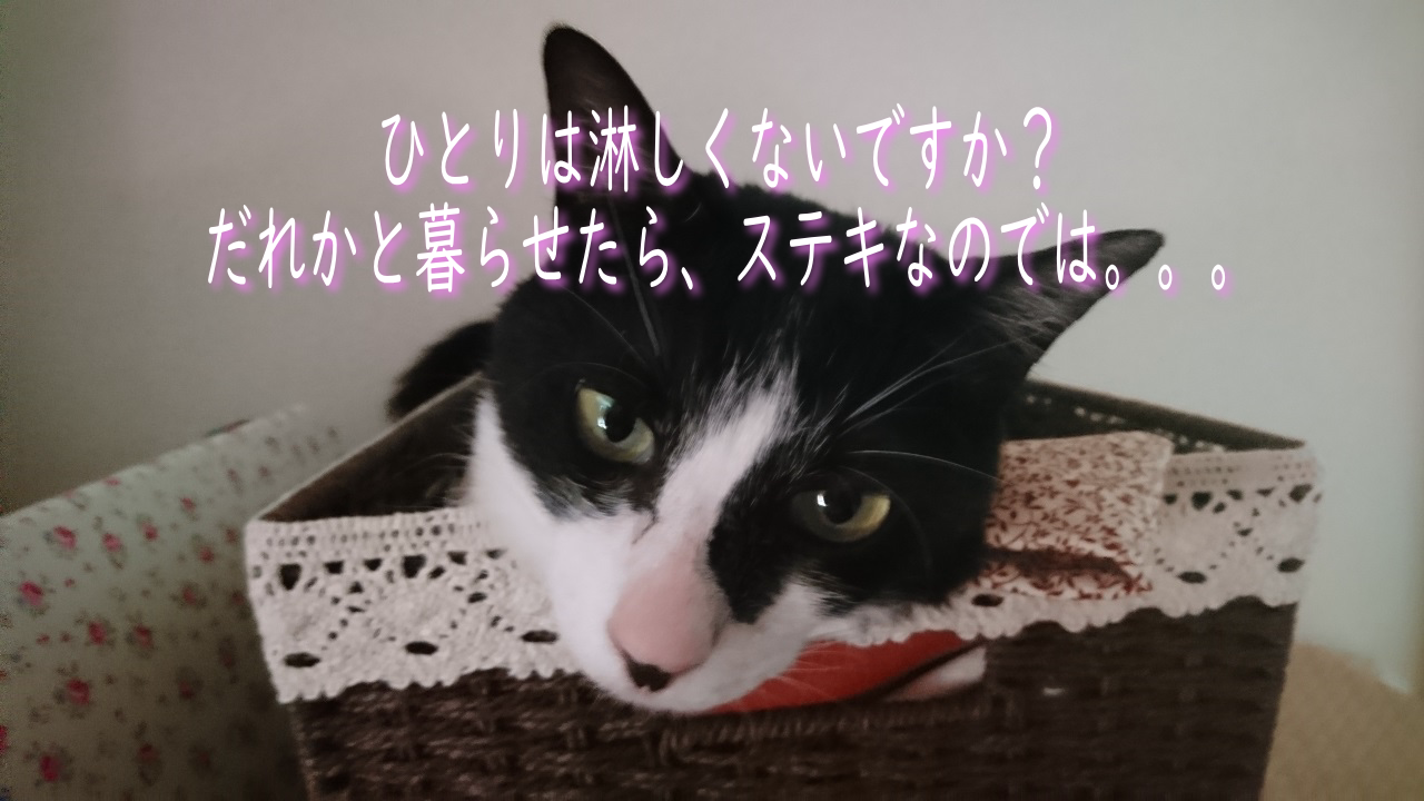 neco-lonely-title