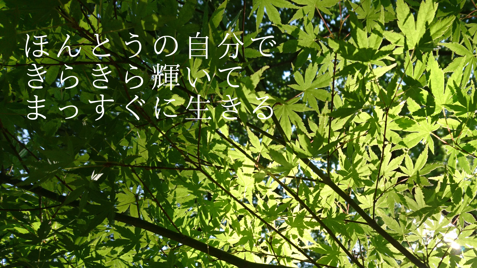 まっすぐに生きる