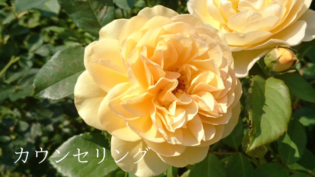 カウンセリング 東理恵