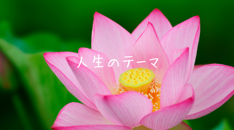 人生のテーマ(数秘術)