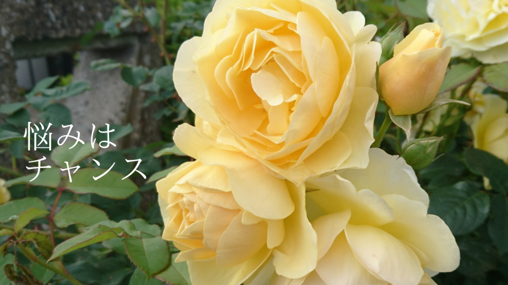 悩みはチャンス