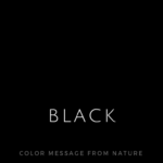 カラー（黒）ブラック