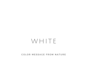 カラー（白）ホワイト