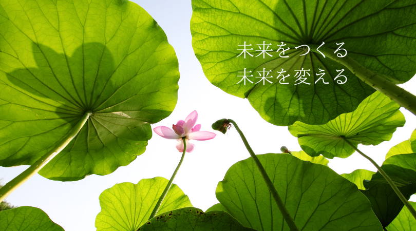 画像に alt 属性が指定されていません。ファイル名: Lotus-sky.png