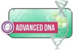 シータヒーリング 応用DNA