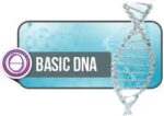 シータヒーリング 基礎DNA