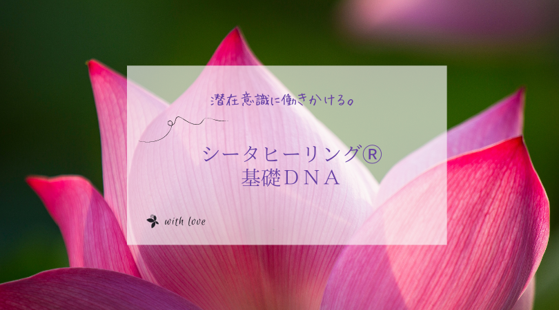 シータヒーリング 基礎DNA